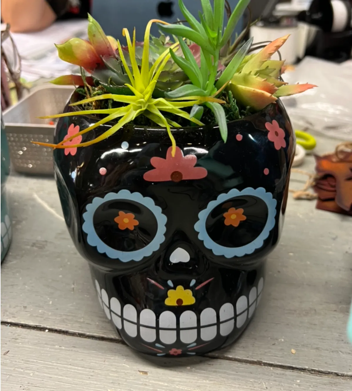 Colorful Skulls